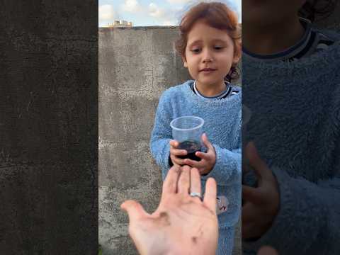 شام غسليلي ايدي // #issahajaj #funny thumbnail