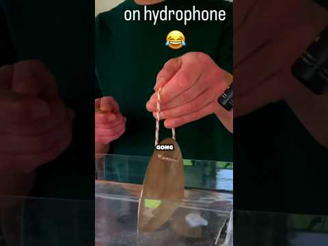 Sekret dźwięku w słonej wodzie🤯 thumbnail