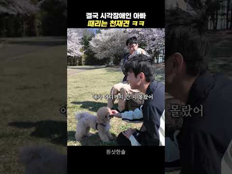 시각장애인이 천재견에게 개인기 시키면 생기는 일 #시트콤 thumbnail