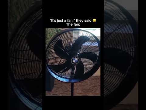 "Just a fan," they said. The fan: ??️ Subscribe for more! #shorts thumbnail