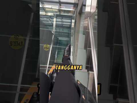 TANGGA Ini Di-DISAIN Sama Orang TUKANG INTIP‼️😮 #videoviral #faktaunik #faktamenarik thumbnail