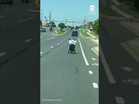 Wheelchair spotted cruising down the street in Baltimore suburb thumbnail