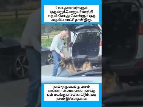 2 வயதானவர்களும் ஒருவருக்கொருவர் மாற்றி உதவி செய்து கொள்ளும் ஒரு அழகிய காட்சி தான் இது. #shorts thumbnail