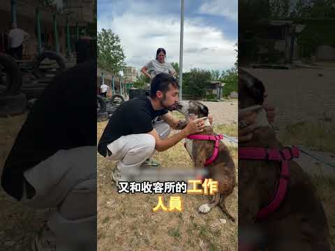 小狗苦苦等待十年終於擁有了新家 thumbnail