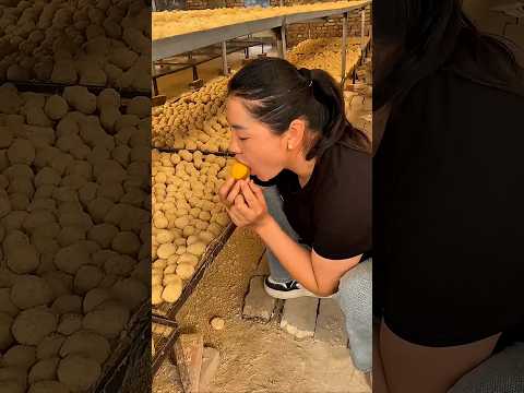 Mom Eats Dirt?! ? Wait Till You Hear the Truth! ? #Shorts thumbnail
