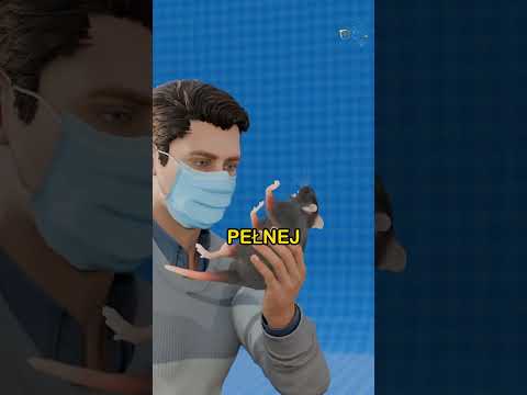 Eksperyment, Który Zszokował Naukowców! thumbnail