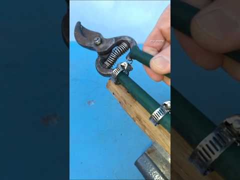 A Great Tips and Tricks to Upgrade Your Old Pruning Shears for Cutting Tall Branches #diy #gardening thumbnail