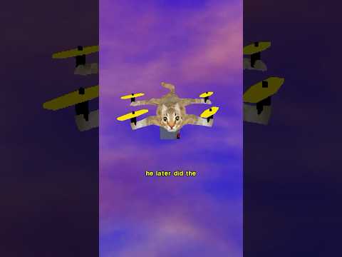 The Catcopter (Flying Cat) thumbnail