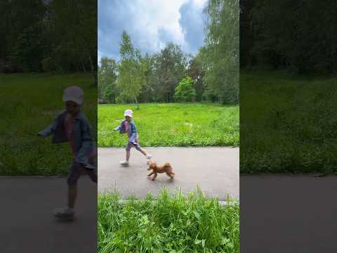 Dog 🐕 friendly 😄 thumbnail