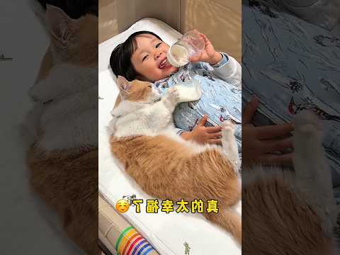 Kucing ini bertingkah imut biar dibikinin susu thumbnail