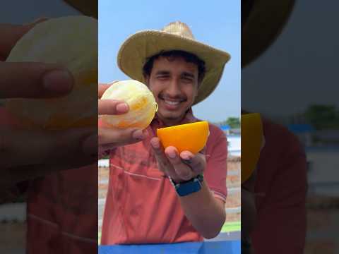 How To Make A Candle From An Orange! thumbnail