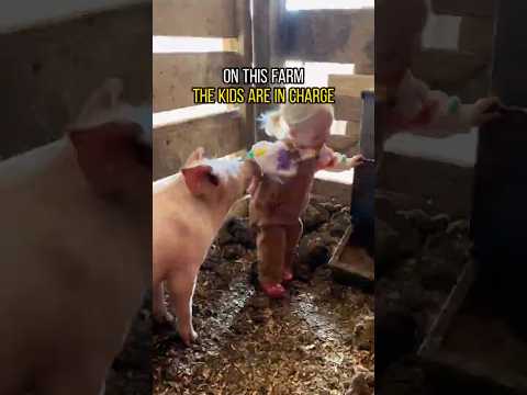 On This Farm, The Kids Run Everything 😂 #farmlife #kids #funny #shorts thumbnail