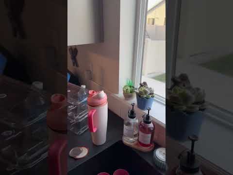 Rescuing a trapped bird from my kitchen! thumbnail