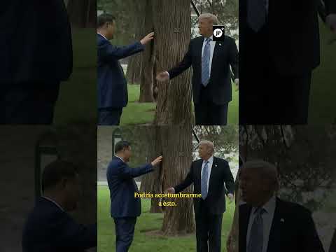 Xi Jinping muestra a Donald Trump jardines de Zhongnanhai thumbnail