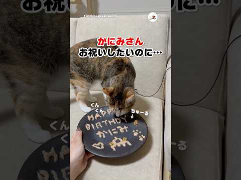 誕生日のお祝いなのに…｜PECO thumbnail
