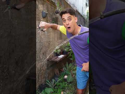 COMO? thumbnail