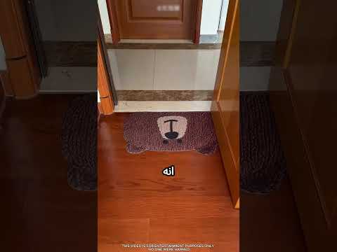 بيلاقي الكلب بتاعو بطريقة مميزة ! #viral thumbnail
