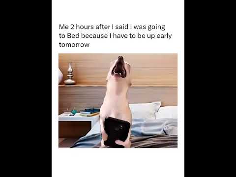 #funny #dog #meme #timeforbed thumbnail