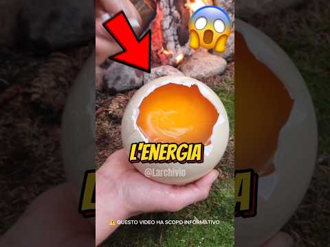 CHE TI SUCCEDE SE MANGI UN UOVO DI STRUZZO? 😱 #curiosità #informative thumbnail