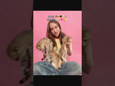 кошечки собачки 🩷🩷🩷 thumbnail