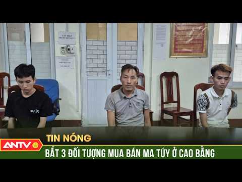 Khởi tố 3 đối tượng mua bán trái phép 2 bánh heroin | ANTV thumbnail