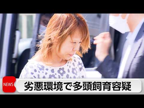 動物愛護法違反の疑いで動物愛護団体代表の女を逮捕 thumbnail