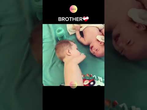 Brother 🥹❤️‍🩹 thumbnail