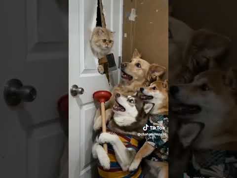 very funny clip ??? and like Karen or chanel ko subscribe Karen thumbnail