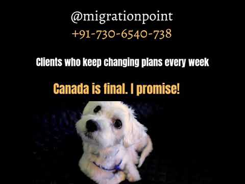 Clients who keep changing their immigration plans  every week. #studyabroad #overseaseducation thumbnail