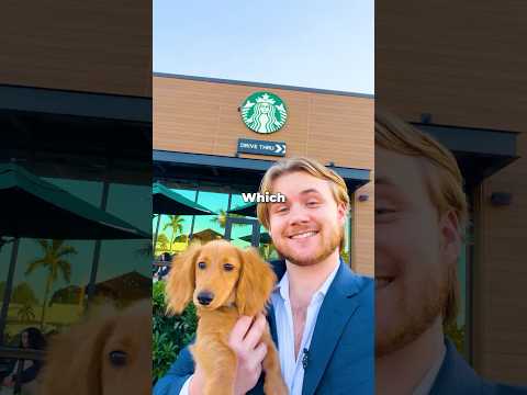 I Tested Every Drive Thru Pup-Cup thumbnail
