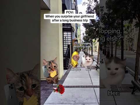 CAT MEMES 🐱When you surprise your GF after a long business trip #catmemes #relatable #relationship thumbnail