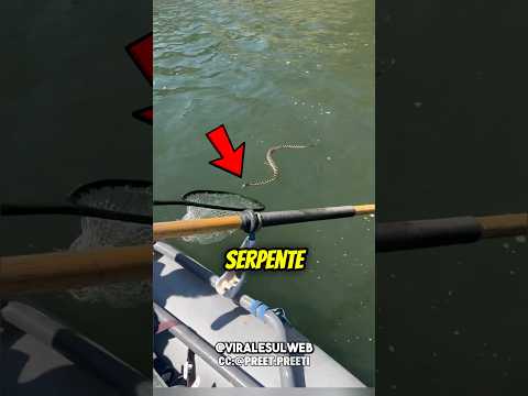 Come SCACCIARE i SERPENTI😲🐍 #shorts thumbnail