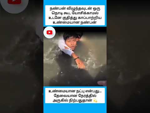 உண்மையான நட்பு என்பது… தேவையான நேரத்தில் அருகில் நிற்பதுதான் 💫 #shorts thumbnail