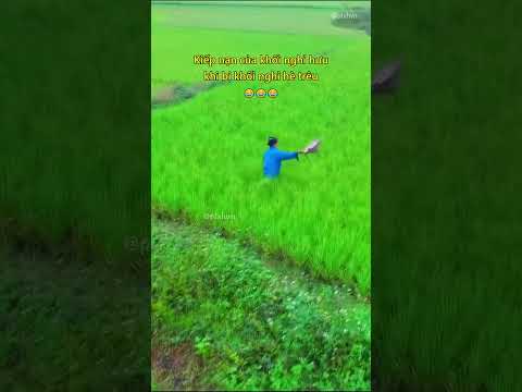 Kiếp nạn của khối nghỉ hưu khi bị khối nghỉ hè trêu 😂 #haihuoc #giaitri #troll #shorts thumbnail