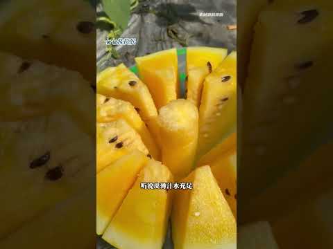 这种黄皮西瓜到底啥味啊#黄皮西瓜 #西瓜 #夏天 #万万没想到 thumbnail