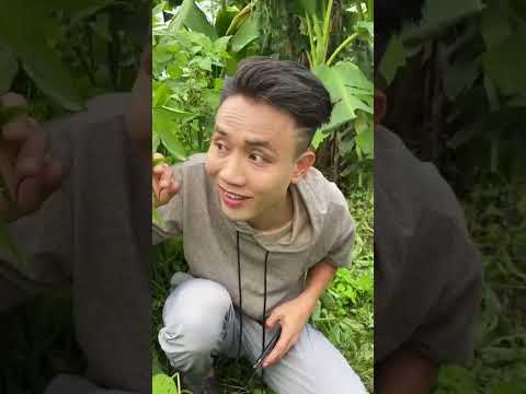 小风居然做出了妈妈的珍珠项链！不然后果不堪设想！#shorts #funny #搞笑 thumbnail
