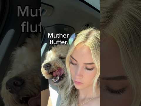 Fate was on Oliver’s side #dogs #dogcomedy thumbnail