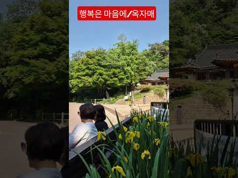 행복은 마음에 있는것 꽃피워봐 #옥자매 #행복은마음에 #둘도없는사랑 #트로트  #남산공원에서 #안중태tv #shorts thumbnail