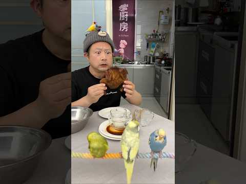 欢乐的逗比老公😘🥰🍖🍱美食美味 thumbnail