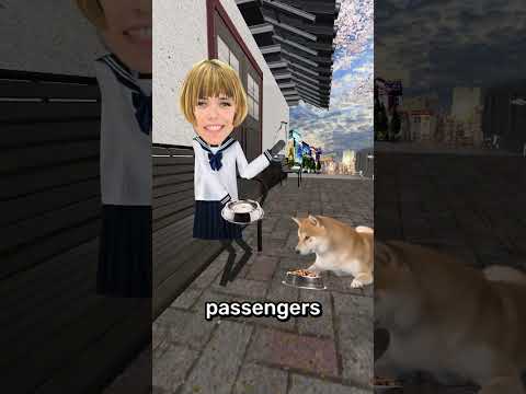 This Dog Waited For It's Owner 😢 thumbnail