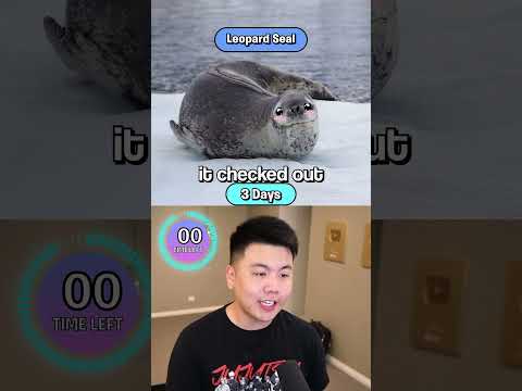 How Long Can You SURVIVE After These Animal Bites? thumbnail