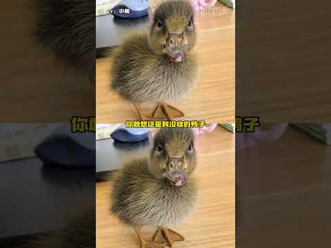 这波依旧民用机床出精品！#学生时代 #上学 #老师 #搞笑 #万万没想到 thumbnail