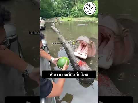 หันมาทางนี้นิดนึงน้อง thumbnail