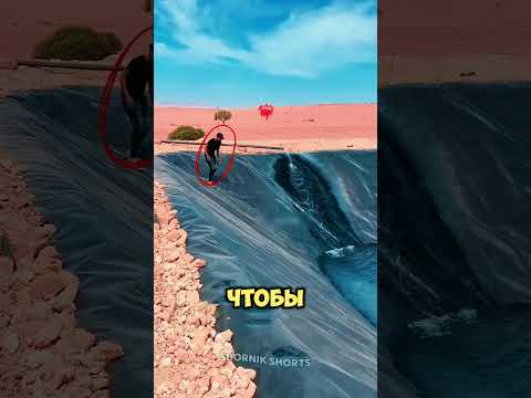 Как люди хранят воду в пустыне!? 😳 thumbnail