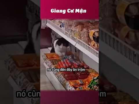 Một bước đổi đời 🐱 #giangcuman thumbnail