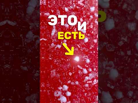 Что за Белый Порошок на Мармеладе? thumbnail