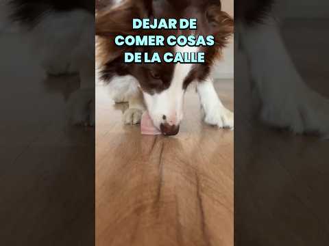 ¿Paseo o búsqueda de tesoros? ? thumbnail