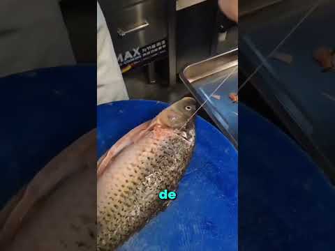 POR ESTO EL PESCADO HUELE MAL!! ? thumbnail