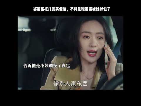 婆婆冤枉儿媳买假包，不料是被婆婆妹妹掉包了 thumbnail