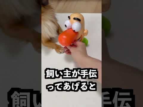 鼻水を何本か抜くと脳が爆発する男に長いグミを入れれば一本で爆発するはず！ thumbnail